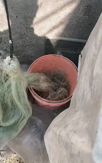 سلیه تور ماهیگیری پرتابی کار کرده