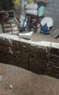دوستان بر کبوتر باز های عزیز این آگاههی نگاه کنید