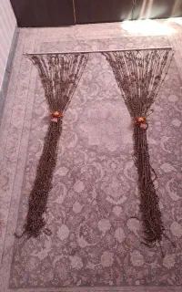 پرده مهره ای