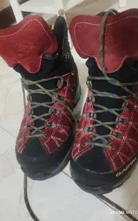 کفش کوه نوردی قارتال