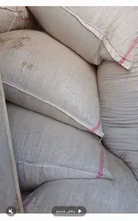 ۱۰۰عدد شلیف کاه