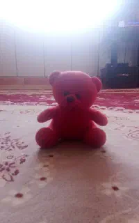 عروسک خرس کو چک