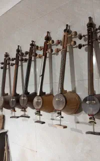 مبتدی  و حرفه ای