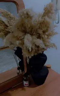 امورمنزل وخانه داری