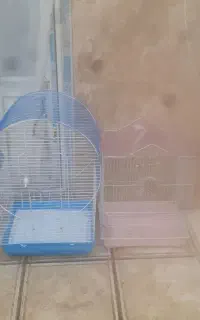 قفس پرنده