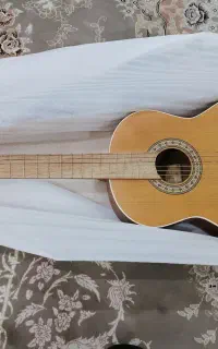 گیتار پارسی نو