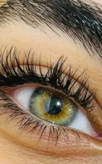 زیبایی و ارایشگری