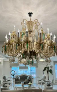 لوسترباکارا ۲۴شاخه شامپاینی