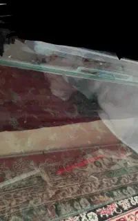 اکواریوم