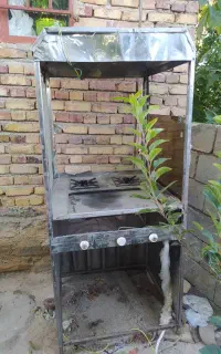 فرساندویچی سالم بدون ایراد