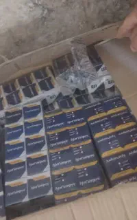 لامپ هالوژن سوزنی و قاب