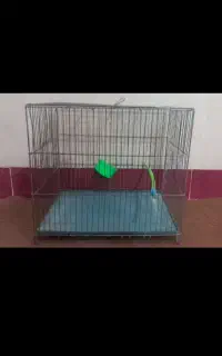 قفس پرنده