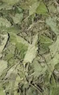 گزنه خشک و سبزی معطر شمال بوانجیر ووارامبو