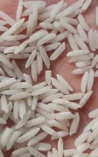 برنج هاشمی