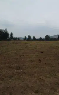 زمین کشاورزی روستای توریستی شفیغ آباد