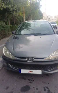 ۲۰۶ SD سالم خانگی