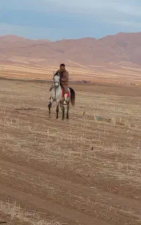 نریان ۳به ۴سال