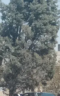 نظافت و خدمات