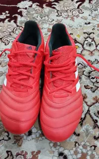 کفش استوک دار اورجینال