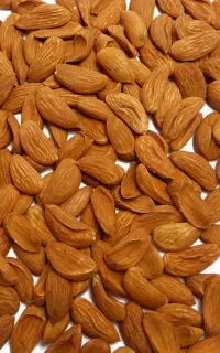 خرید و فروش بادام به قیمت تجاری
