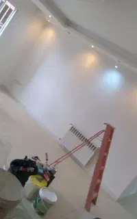 نقاشی داخل ورنگ نما سیلیکنایز ضدآب ساختمان کاج سبز