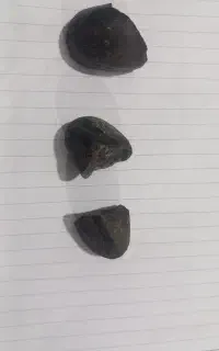 سنگ قیمتی