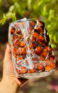 تامین کننده خرمای جم