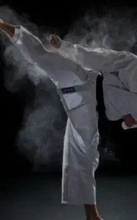 آموزش کاراته شوتوکان