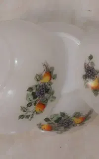 ارکوپال گل میوه حک arcopal France