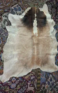 چرم  گوساله
