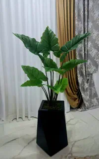 گل مصنوعی بابا آدم