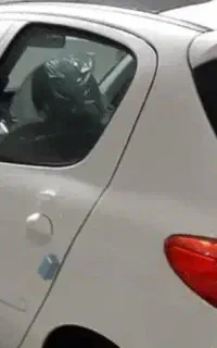 پژو 207 پاناروما رینگ آلمینیوم