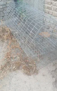 قفس مرغ