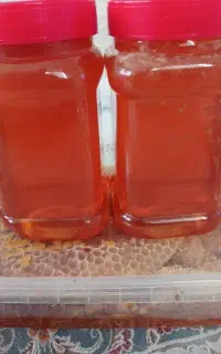 عسل طبعی ۱۰۰درصد خالص به شرط