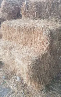 پرس کاه گندم