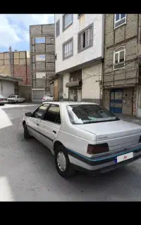 پژو ۴۰۵ دوگانه بیرون