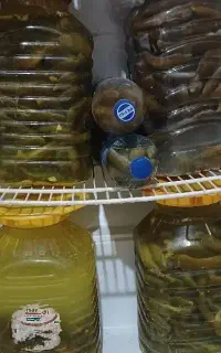خیار شورخانگی باکیفیت درجه یک باعطروطعم فوق العاده