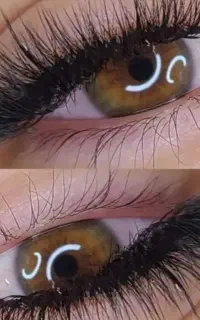 مدل مژه،رایگان