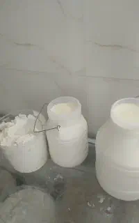 لبنیات محلی