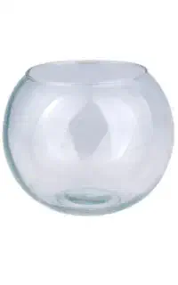 تنگ ماهی