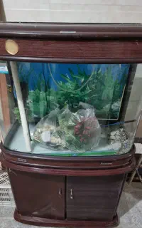 اکواریوم