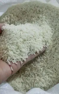 برنج  سالم محلی دروود کیلویی ۴۳۰مفطوع