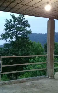 سوییت ویلایی دوخواب لوکس با ویوی جنگلی بی نظیر