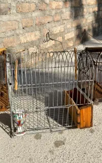 قفس شکاری سهره