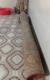 قالی سالم