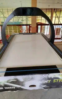 ایرهاکی حرفه ای