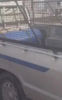 مزدا وانت1390