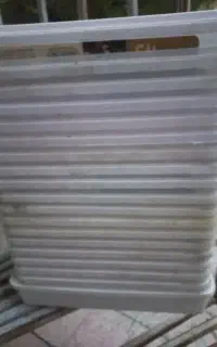 ظرف حلوا شکری ۳۵ عدد