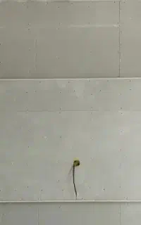 کناف کار