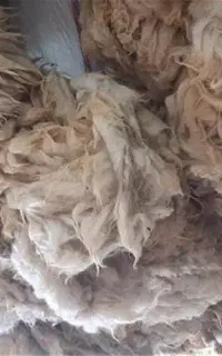 پشم گوسفندی